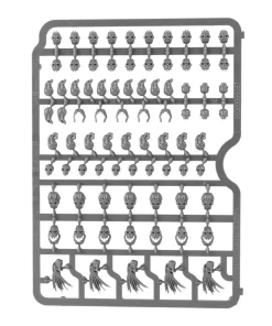 Citadel Skulls -Games Workshop shop 321745 98353.1676903658