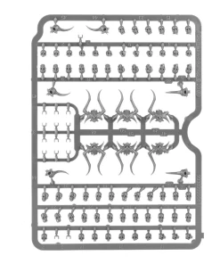 Citadel Skulls -Games Workshop shop 321747 90104.1676903662