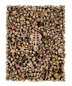 Citadel Skulls -Games Workshop shop 321749 77851.1676903666